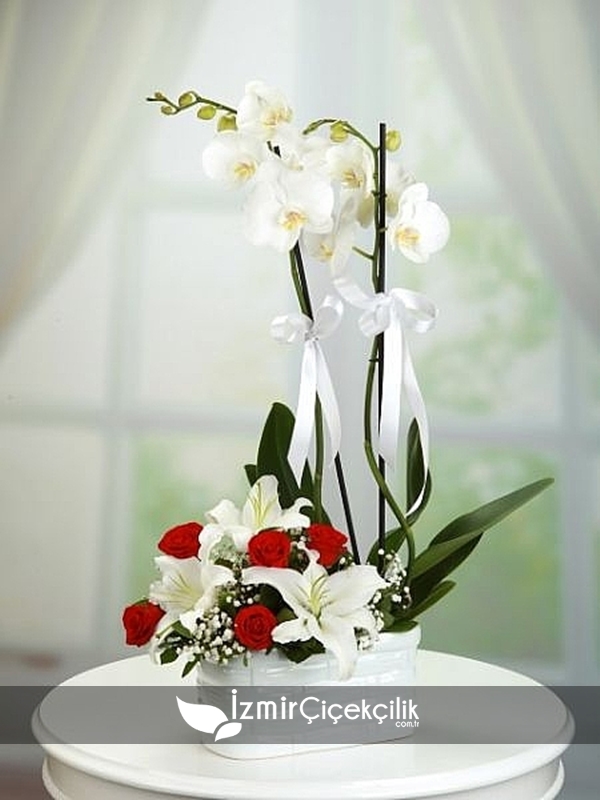Orkide lilyum ve güller
